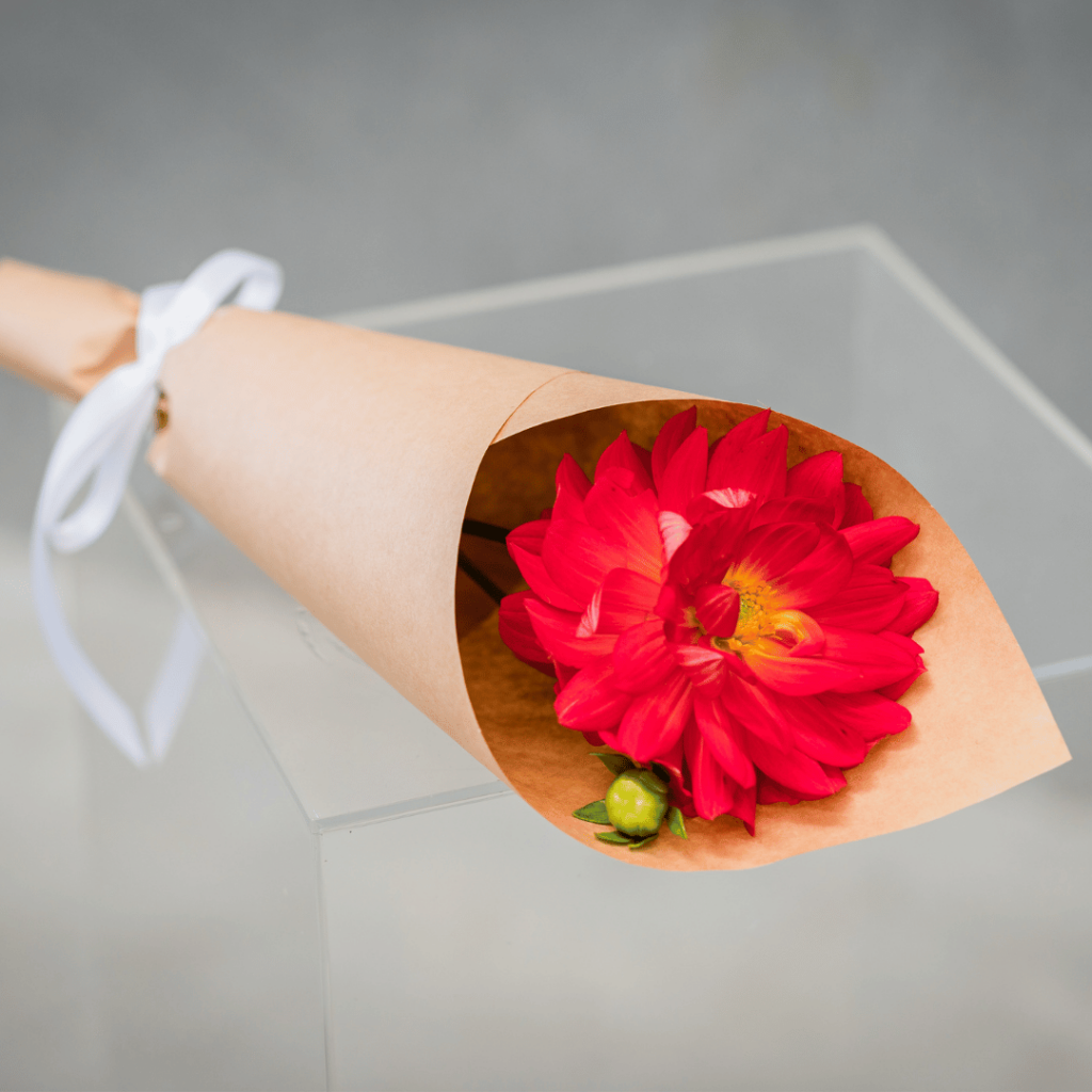 Fresh Flower Delivery Melbourne Fresh Flowers Near Me